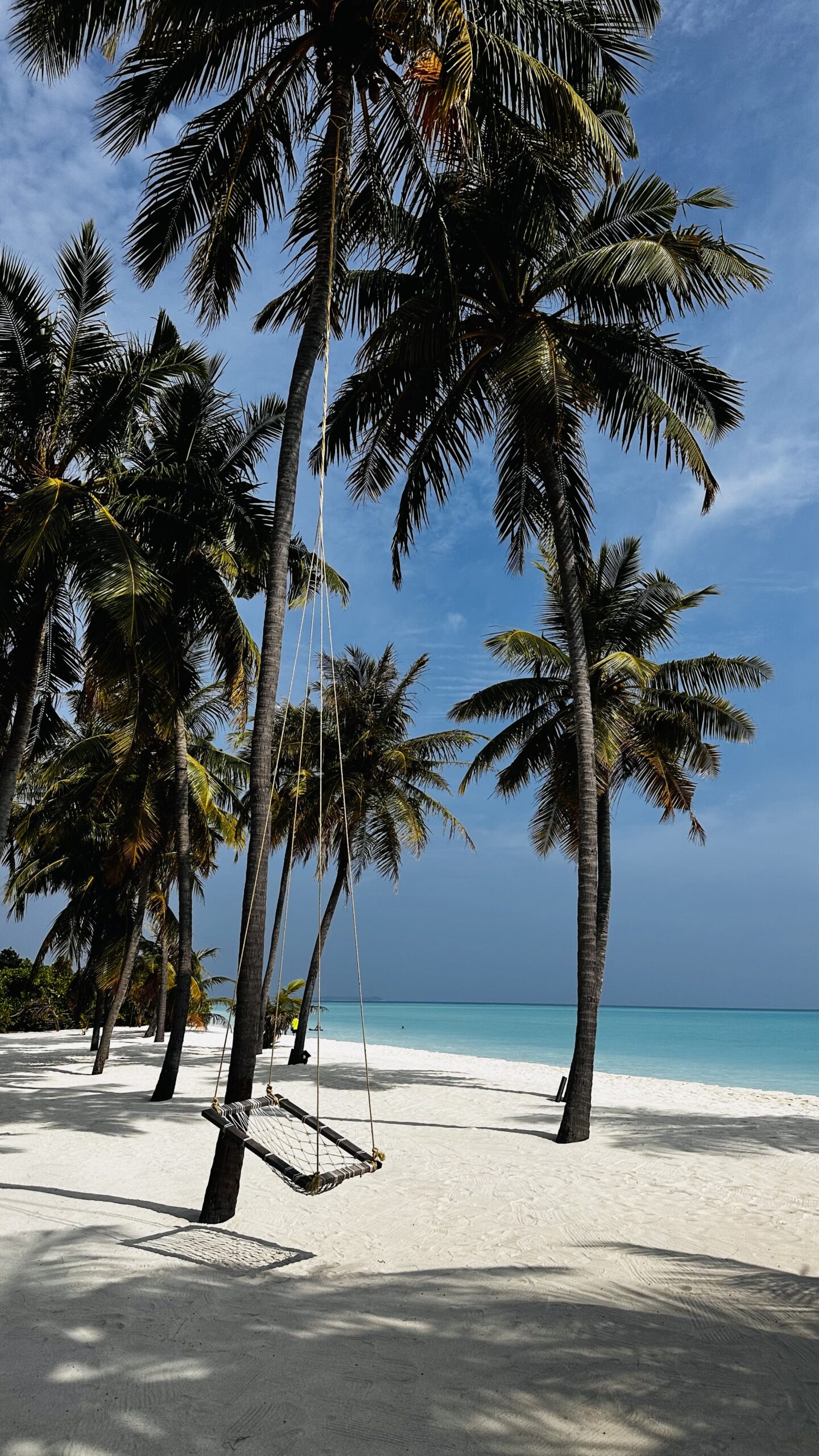 Reise 5